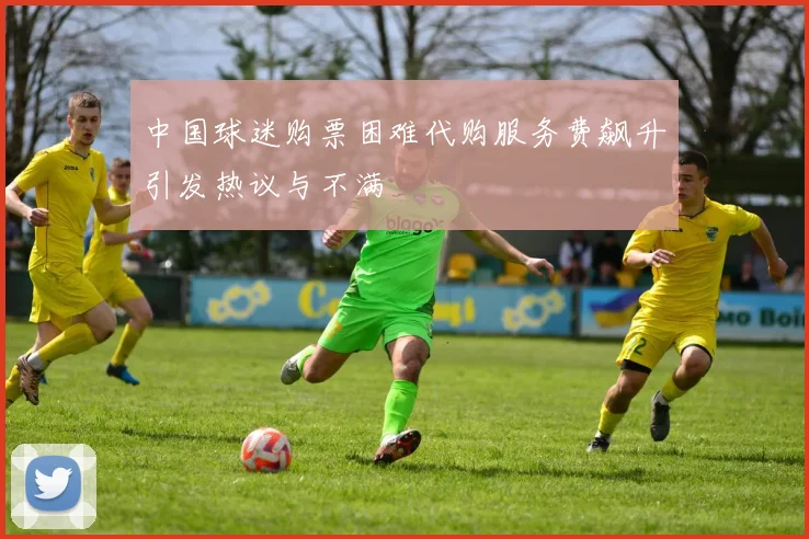中国球迷购票困难代购服务费飙升引发热议与不满