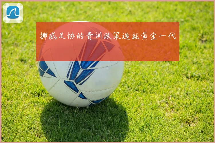 挪威足协的青训政策造就黄金一代