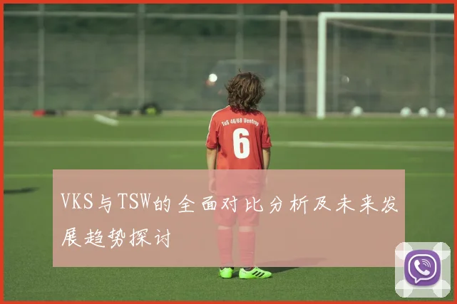 VKS与TSW的全面对比分析及未来发展趋势探讨