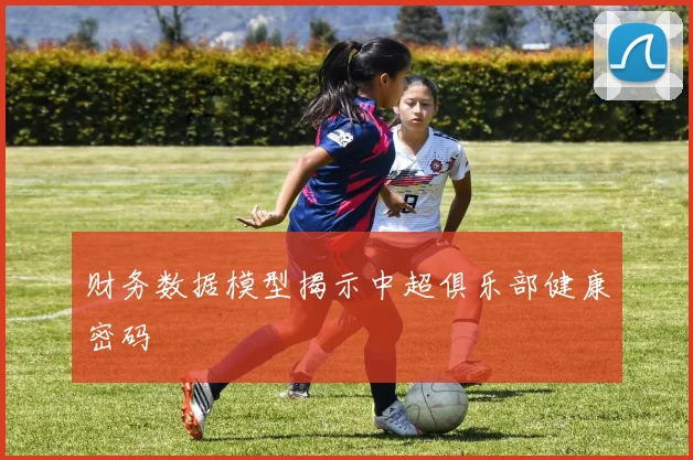 财务数据模型揭示中超俱乐部健康密码