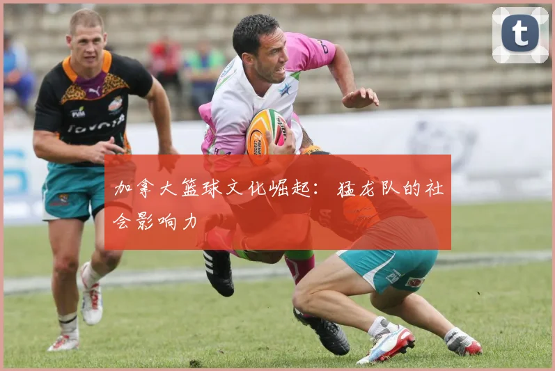 加拿大篮球文化崛起：猛龙队的社会影响力