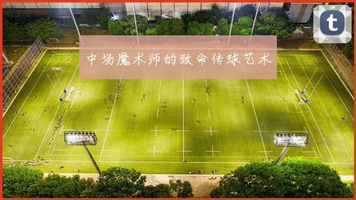 中场魔术师的致命传球艺术