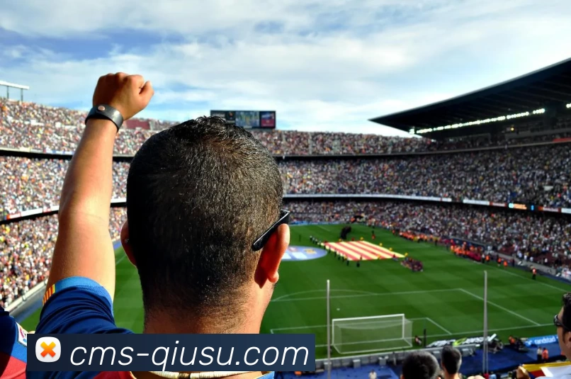 球速平台生态图